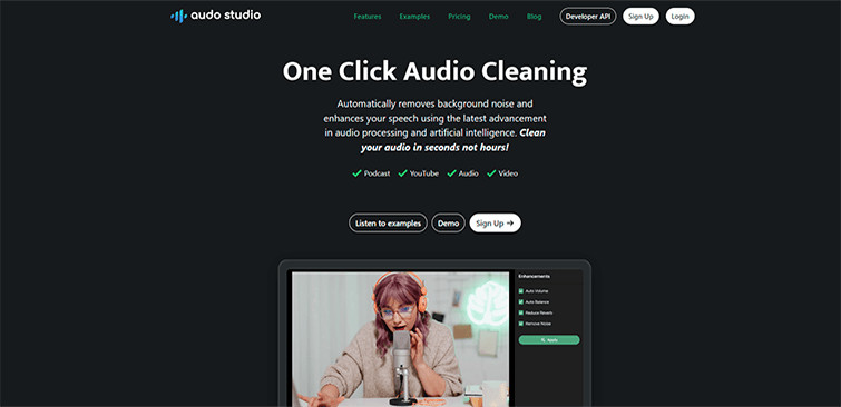 Audo audio cleaning